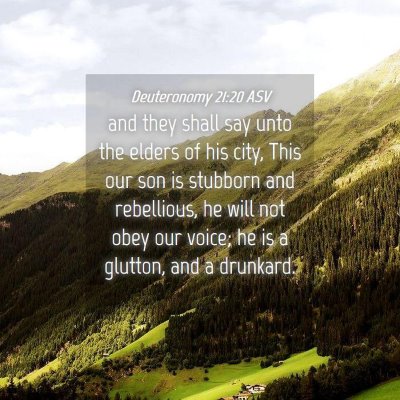 Picture 04 - Deuteronomy 21:20 ASV - and they shall say unto the elders of his city, - Bible Verse Picture