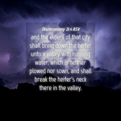 Picture 04 - Deuteronomy 21:4 ASV - and the elders of that city shall bring down the - Bible Verse Picture