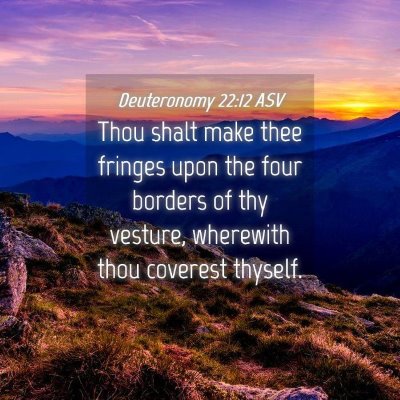Picture 04 - Deuteronomy 22:12 ASV - Thou shalt make thee fringes upon the four - Bible Verse Picture