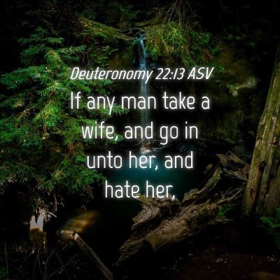 Picture 04 - Deuteronomy 22:13 ASV - If any man take a wife, and go in unto her, and - Bible Verse Picture