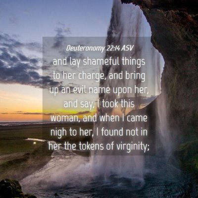 Picture 04 - Deuteronomy 22:14 ASV - and lay shameful things to her charge, and bring - Bible Verse Picture