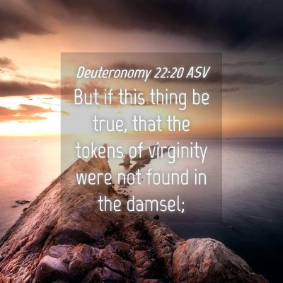 Picture 04 - Deuteronomy 22:20 ASV - But if this thing be true, that the tokens of - Bible Verse Picture