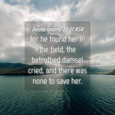 Picture 04 - Deuteronomy 22:27 ASV - for he found her in the field, the betrothed - Bible Verse Picture