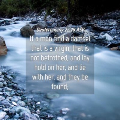 Picture 04 - Deuteronomy 22:28 ASV - If a man find a damsel that is a virgin, that is - Bible Verse Picture
