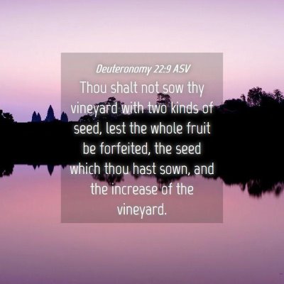 Picture 04 - Deuteronomy 22:9 ASV - Thou shalt not sow thy vineyard with two kinds of - Bible Verse Picture