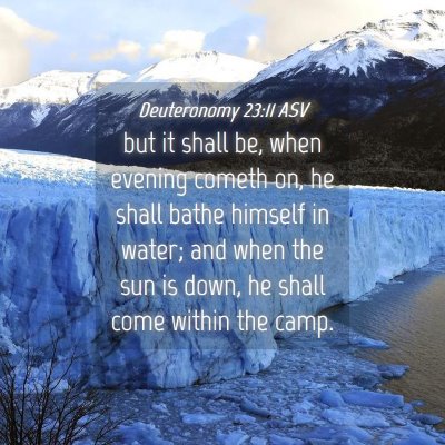 Picture 04 - Deuteronomy 23:11 ASV - but it shall be, when evening cometh on, he shall - Bible Verse Picture