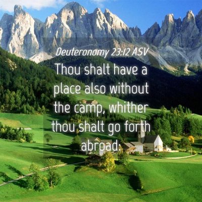 Picture 04 - Deuteronomy 23:12 ASV - Thou shalt have a place also without the camp, - Bible Verse Picture
