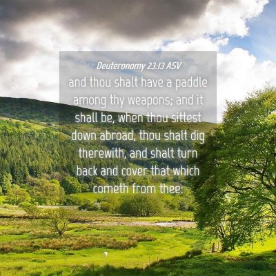 Picture 04 - Deuteronomy 23:13 ASV - and thou shalt have a paddle among thy weapons; - Bible Verse Picture
