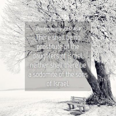 Picture 04 - Deuteronomy 23:17 ASV - There shall be no prostitute of the daughters of - Bible Verse Picture