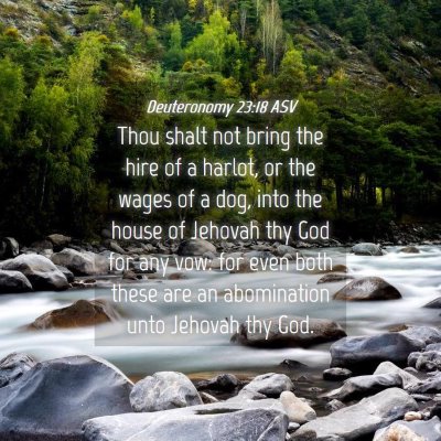 Picture 04 - Deuteronomy 23:18 ASV - Thou shalt not bring the hire of a harlot, or the - Bible Verse Picture