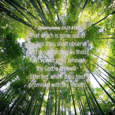 Picture 04 - Deuteronomy 23:23 ASV - That which is gone out of thy lips thou shalt - Bible Verse Picture