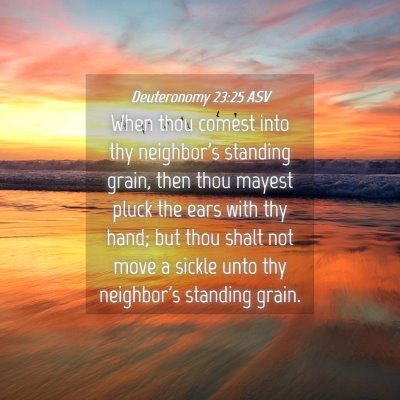 Picture 04 - Deuteronomy 23:25 ASV - When thou comest into thy neighbor's standing - Bible Verse Picture