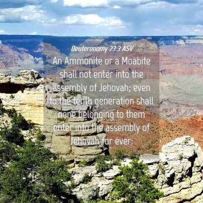 Picture 04 - Deuteronomy 23:3 ASV - An Ammonite or a Moabite shall not enter into the - Bible Verse Picture