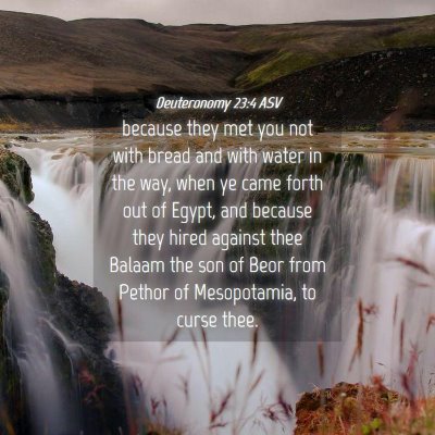 Picture 04 - Deuteronomy 23:4 ASV - because they met you not with bread and with - Bible Verse Picture