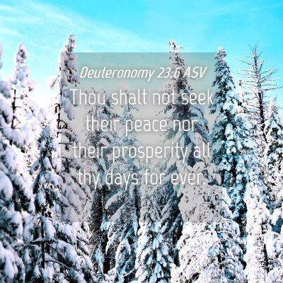 Picture 04 - Deuteronomy 23:6 ASV - Thou shalt not seek their peace nor their - Bible Verse Picture