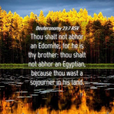 Picture 04 - Deuteronomy 23:7 ASV - Thou shalt not abhor an Edomite; for he is thy - Bible Verse Picture