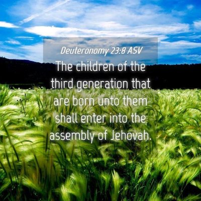 Picture 04 - Deuteronomy 23:8 ASV - The children of the third generation that are - Bible Verse Picture