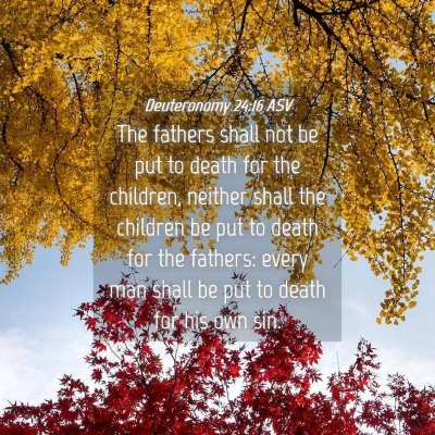 Picture 04 - Deuteronomy 24:16 ASV - The fathers shall not be put to death for the - Bible Verse Picture