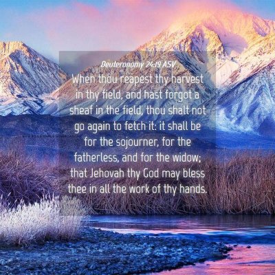 Picture 04 - Deuteronomy 24:19 ASV - When thou reapest thy harvest in thy field, and - Bible Verse Picture