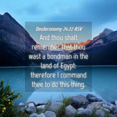 Picture 04 - Deuteronomy 24:22 ASV - And thou shalt remember that thou wast a bondman - Bible Verse Picture