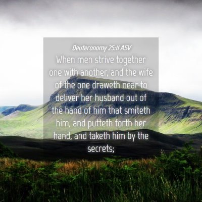 Picture 04 - Deuteronomy 25:11 ASV - When men strive together one with another, and - Bible Verse Picture