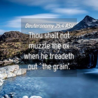 Picture 04 - Deuteronomy 25:4 ASV - Thou shalt not muzzle the ox when he treadeth out - Bible Verse Picture