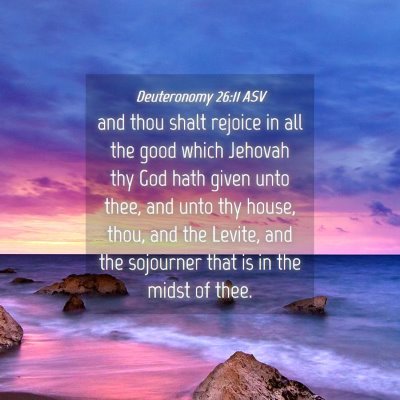 Picture 04 - Deuteronomy 26:11 ASV - and thou shalt rejoice in all the good which - Bible Verse Picture