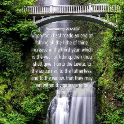 Picture 04 - Deuteronomy 26:12 ASV - When thou hast made an end of tithing all the - Bible Verse Picture