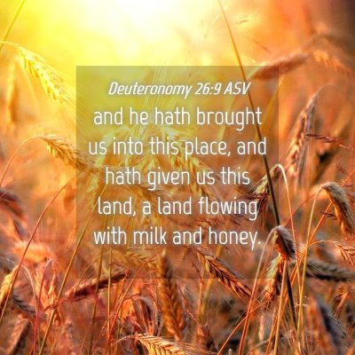 Picture 04 - Deuteronomy 26:9 ASV - and he hath brought us into this place, and hath - Bible Verse Picture