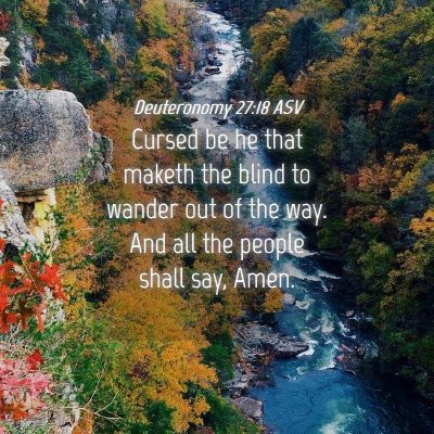 Picture 04 - Deuteronomy 27:18 ASV - Cursed be he that maketh the blind to wander out - Bible Verse Picture