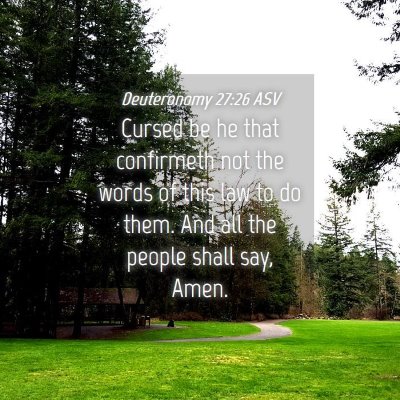 Picture 04 - Deuteronomy 27:26 ASV - Cursed be he that confirmeth not the words of - Bible Verse Picture