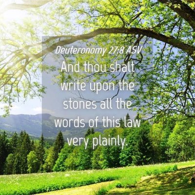 Picture 04 - Deuteronomy 27:8 ASV - And thou shalt write upon the stones all the - Bible Verse Picture