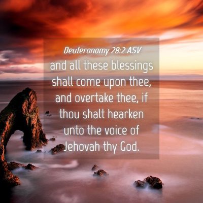 Picture 04 - Deuteronomy 28:2 ASV - and all these blessings shall come upon thee, and - Bible Verse Picture