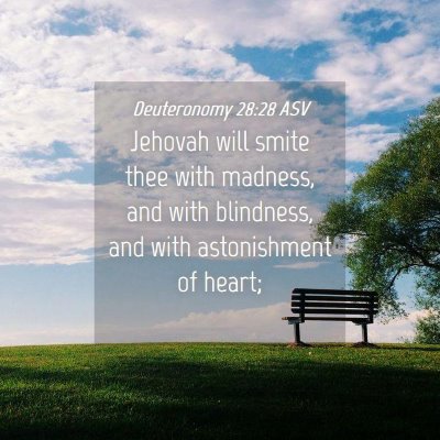Picture 04 - Deuteronomy 28:28 ASV - Jehovah will smite thee with madness, and with - Bible Verse Picture