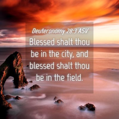Picture 04 - Deuteronomy 28:3 ASV - Blessed shalt thou be in the city, and blessed - Bible Verse Picture