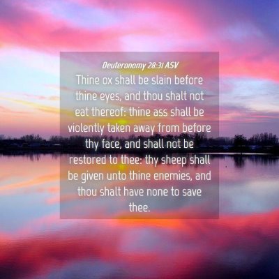 Picture 04 - Deuteronomy 28:31 ASV - Thine ox shall be slain before thine eyes, and - Bible Verse Picture