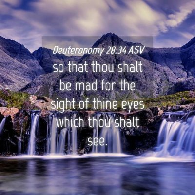 Picture 04 - Deuteronomy 28:34 ASV - so that thou shalt be mad for the sight of thine - Bible Verse Picture