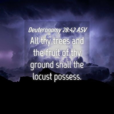 Picture 04 - Deuteronomy 28:42 ASV - All thy trees and the fruit of thy ground shall - Bible Verse Picture