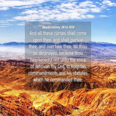 Picture 04 - Deuteronomy 28:45 ASV - And all these curses shall come upon thee, and - Bible Verse Picture