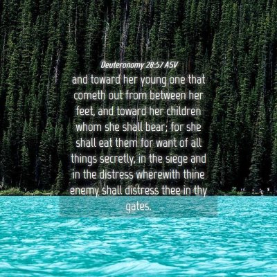 Picture 04 - Deuteronomy 28:57 ASV - and toward her young one that cometh out from - Bible Verse Picture