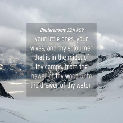 Picture 04 - Deuteronomy 29:11 ASV - your little ones, your wives, and thy sojourner - Bible Verse Picture