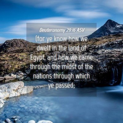 Picture 04 - Deuteronomy 29:16 ASV - (for ye know how we dwelt in the land of Egypt, - Bible Verse Picture
