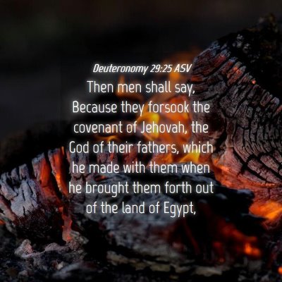 Picture 04 - Deuteronomy 29:25 ASV - Then men shall say, Because they forsook the - Bible Verse Picture