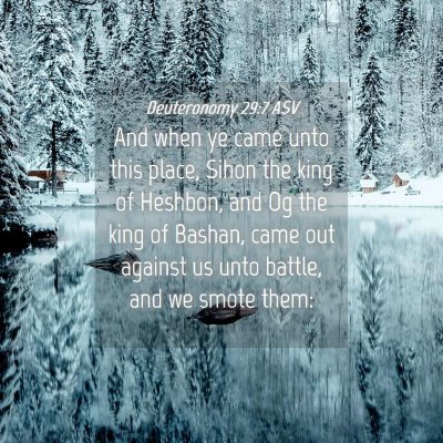 Picture 04 - Deuteronomy 29:7 ASV - And when ye came unto this place, Sihon the king - Bible Verse Picture