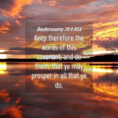 Picture 04 - Deuteronomy 29:9 ASV - Keep therefore the words of this covenant, and do - Bible Verse Picture