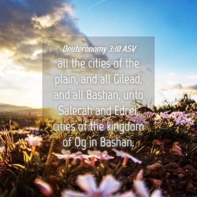 Picture 04 - Deuteronomy 3:10 ASV - all the cities of the plain, and all Gilead, and - Bible Verse Picture
