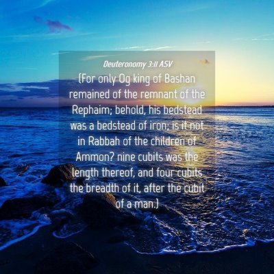 Picture 04 - Deuteronomy 3:11 ASV - (For only Og king of Bashan remained of the - Bible Verse Picture