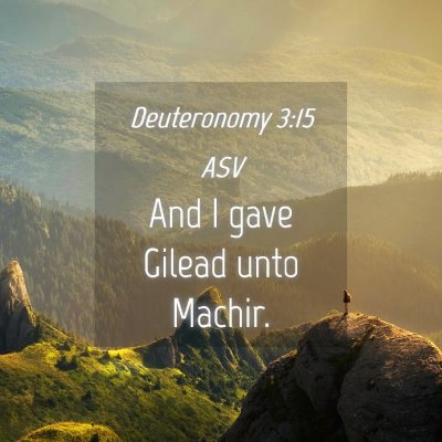 Picture 04 - Deuteronomy 3:15 ASV - And I gave Gilead unto - Bible Verse Picture