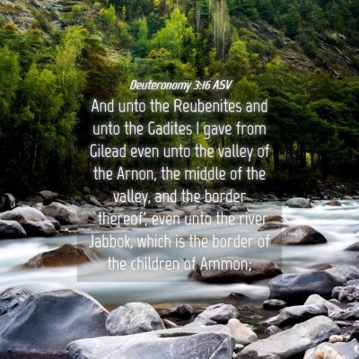 Picture 04 - Deuteronomy 3:16 ASV - And unto the Reubenites and unto the Gadites I - Bible Verse Picture