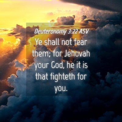 Picture 04 - Deuteronomy 3:22 ASV - Ye shall not fear them; for Jehovah your God, he - Bible Verse Picture